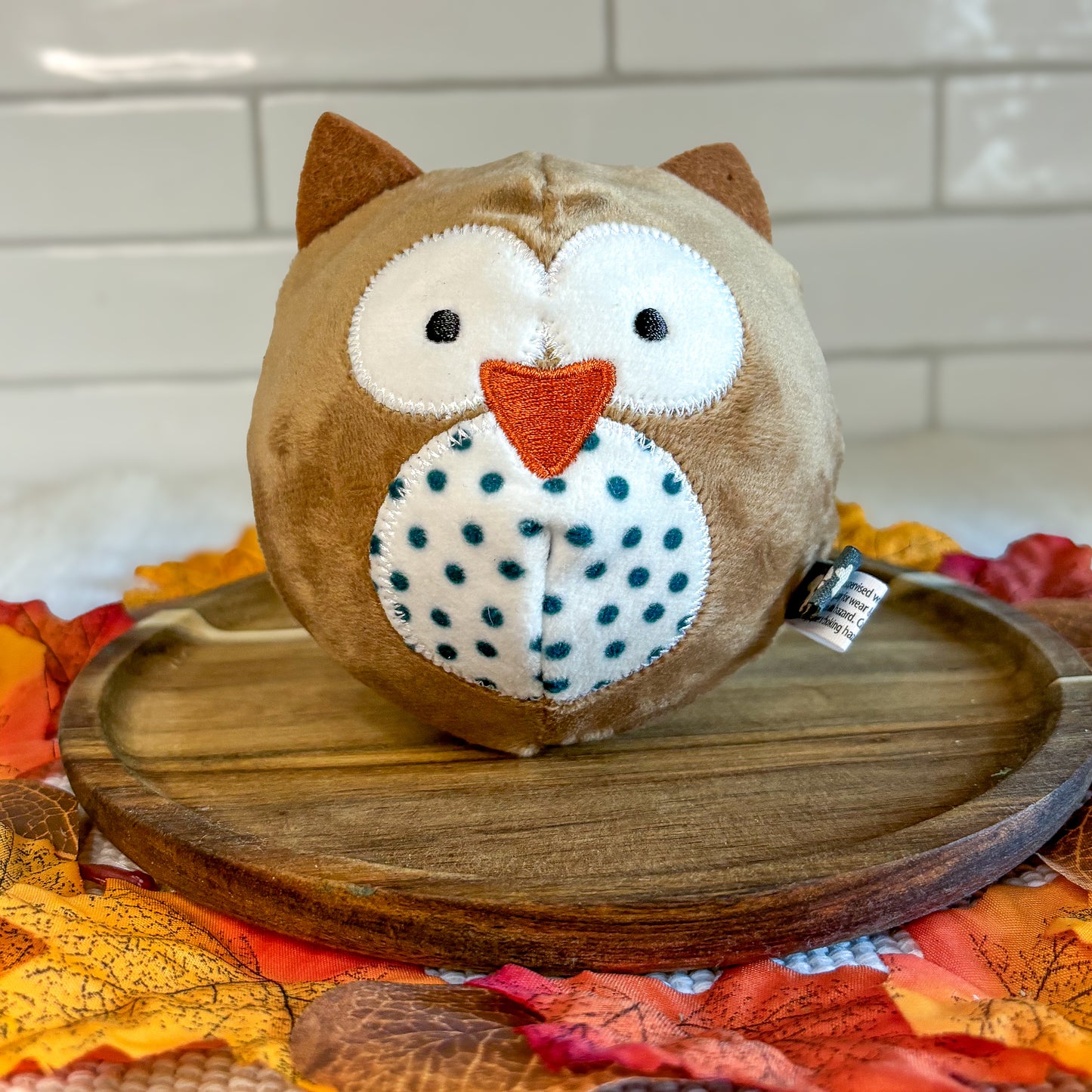 Owl Ball Toy