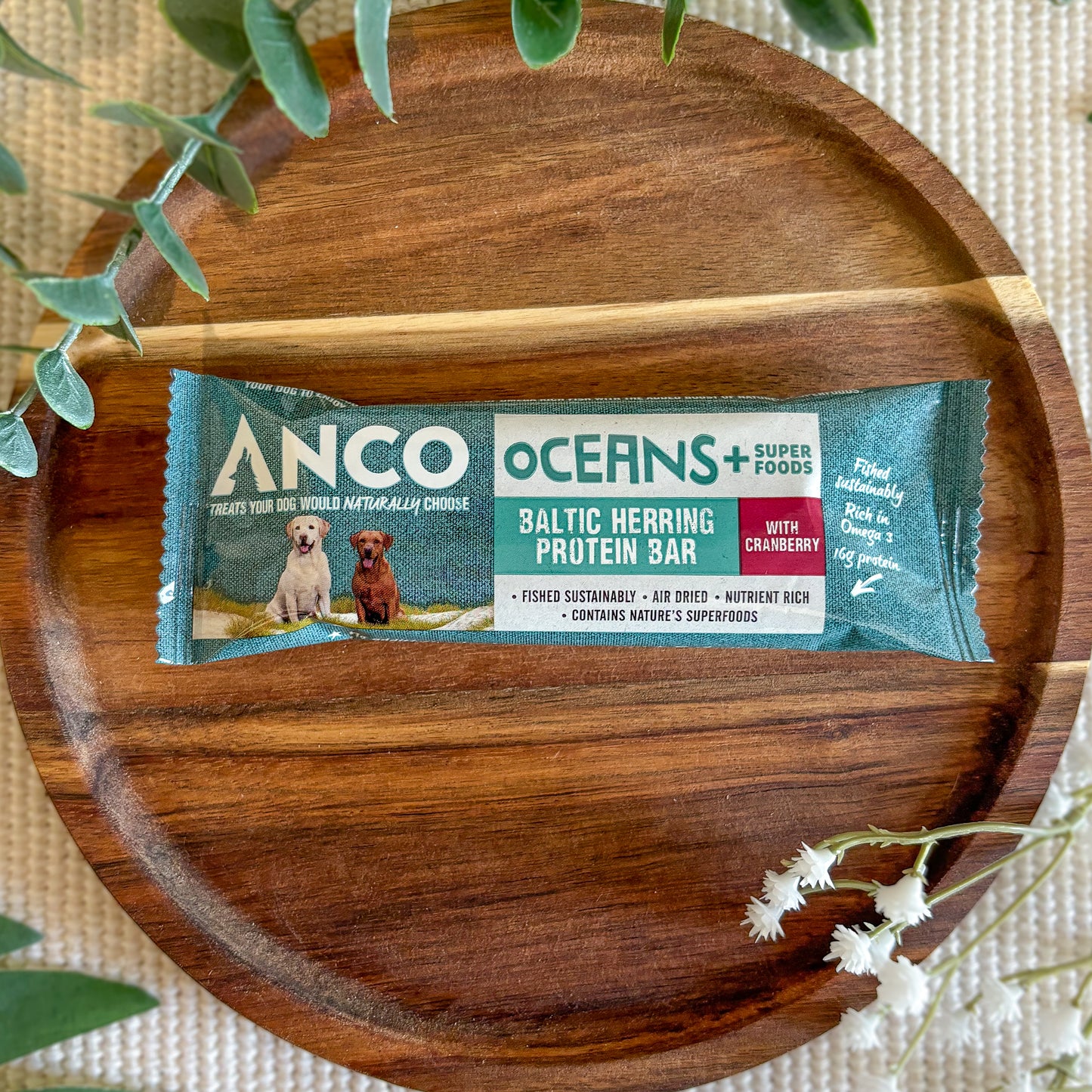 Anco Protein Bar - Herring with Cranberry