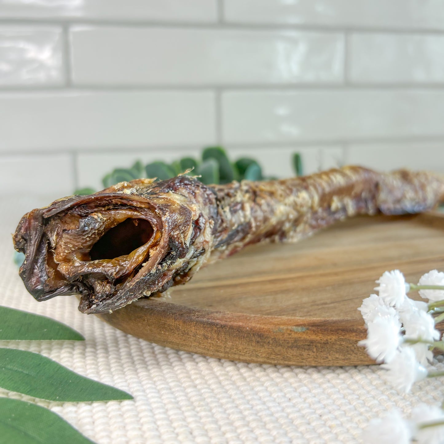 Lamb Trachea