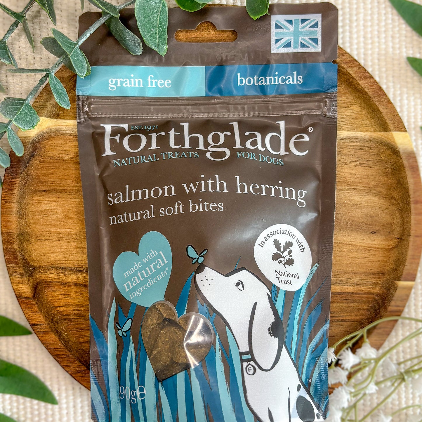 Forthglade Grain Free Soft Bites - Salmon with Herring