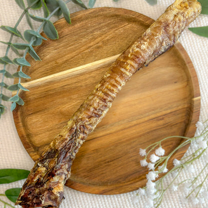 Lamb Trachea