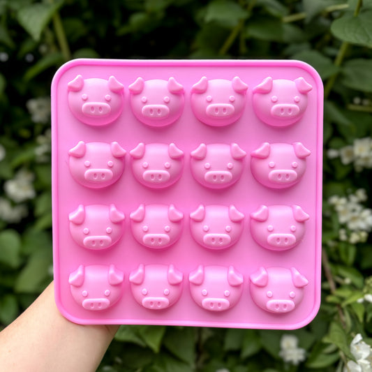 Piggy Mould