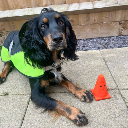 Teri the Traffic Cone Latex Toy