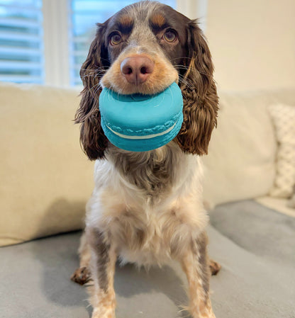 Macaron Latex Toy